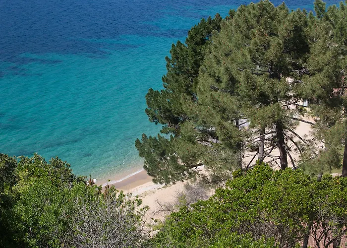 Miramar Corsica 5* 普罗普里亚诺